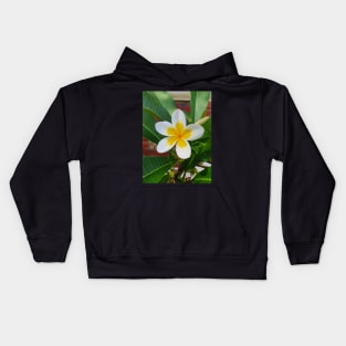 Frangipani Kids Hoodie